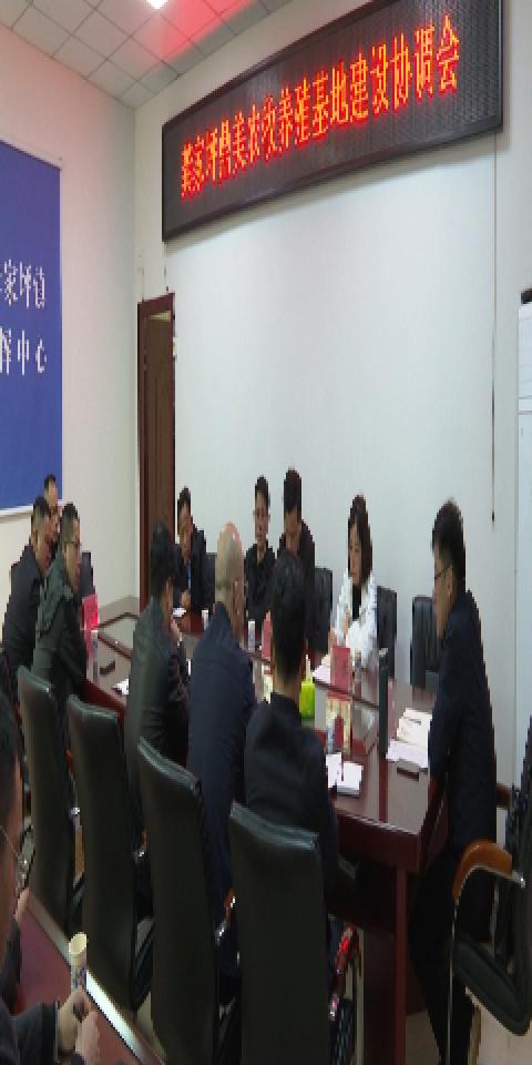 陈小平调研鼎美农牧养殖基地建设