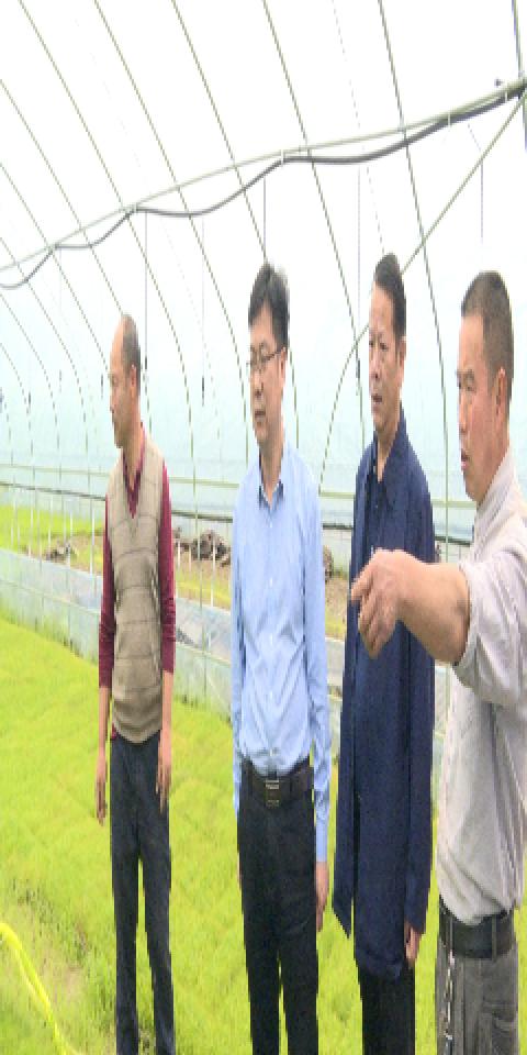 陈小平深入各乡镇督导春耕生产工作